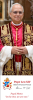 NEW POPE LEO XIV BOOKMARKS